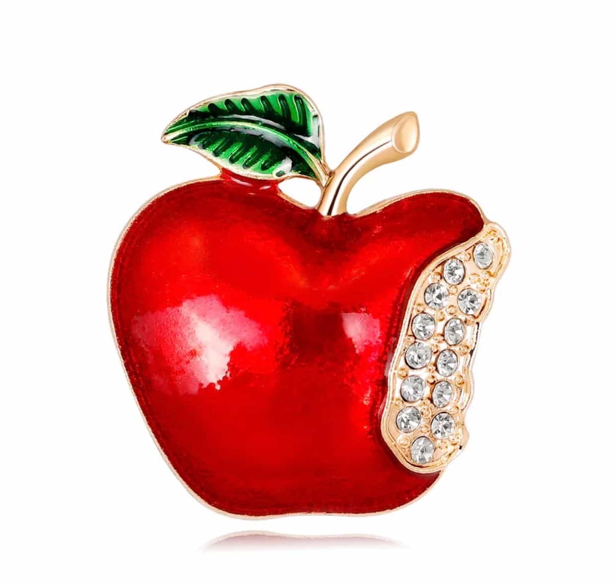 Teacher Brooches Pins-Teacher's Gifts-All-Times-Gifts