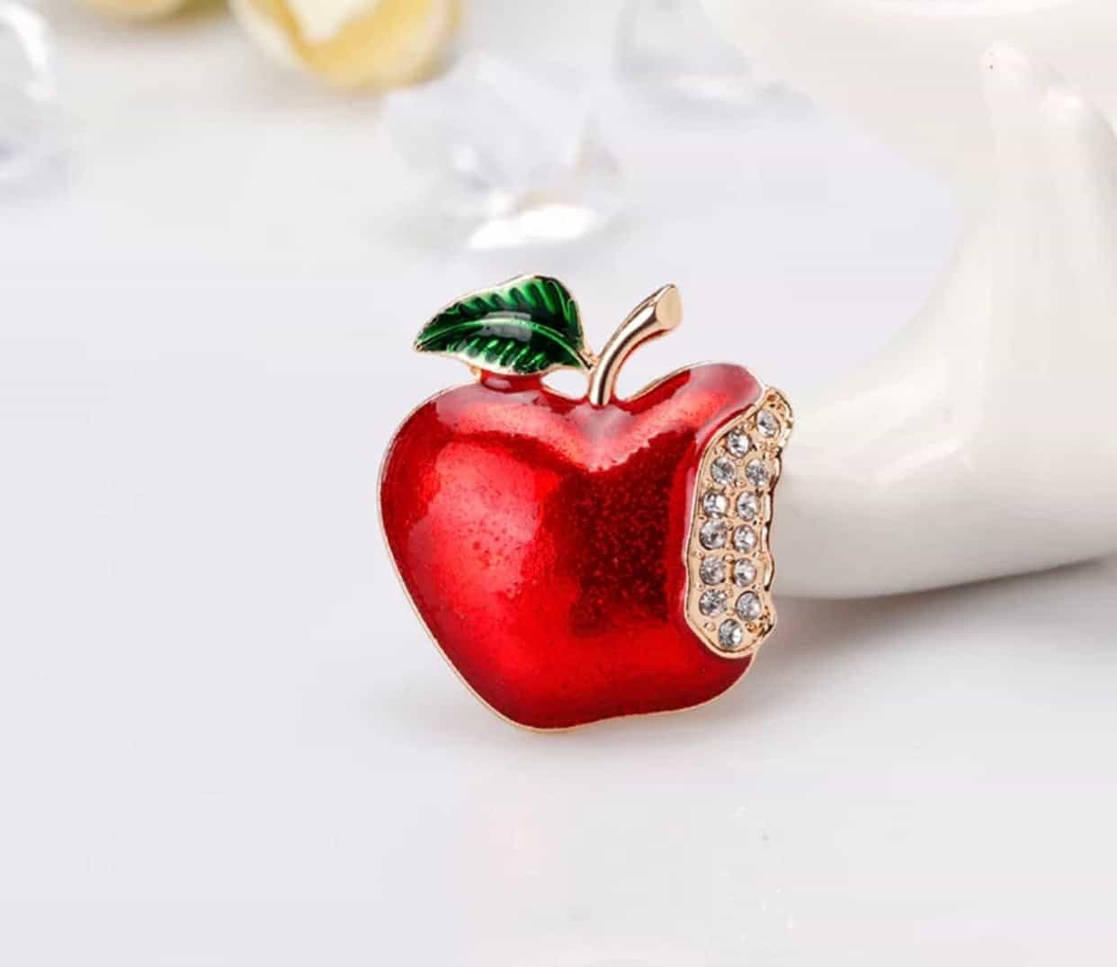 Teacher Brooches Pins-Teacher's Gifts-All-Times-Gifts