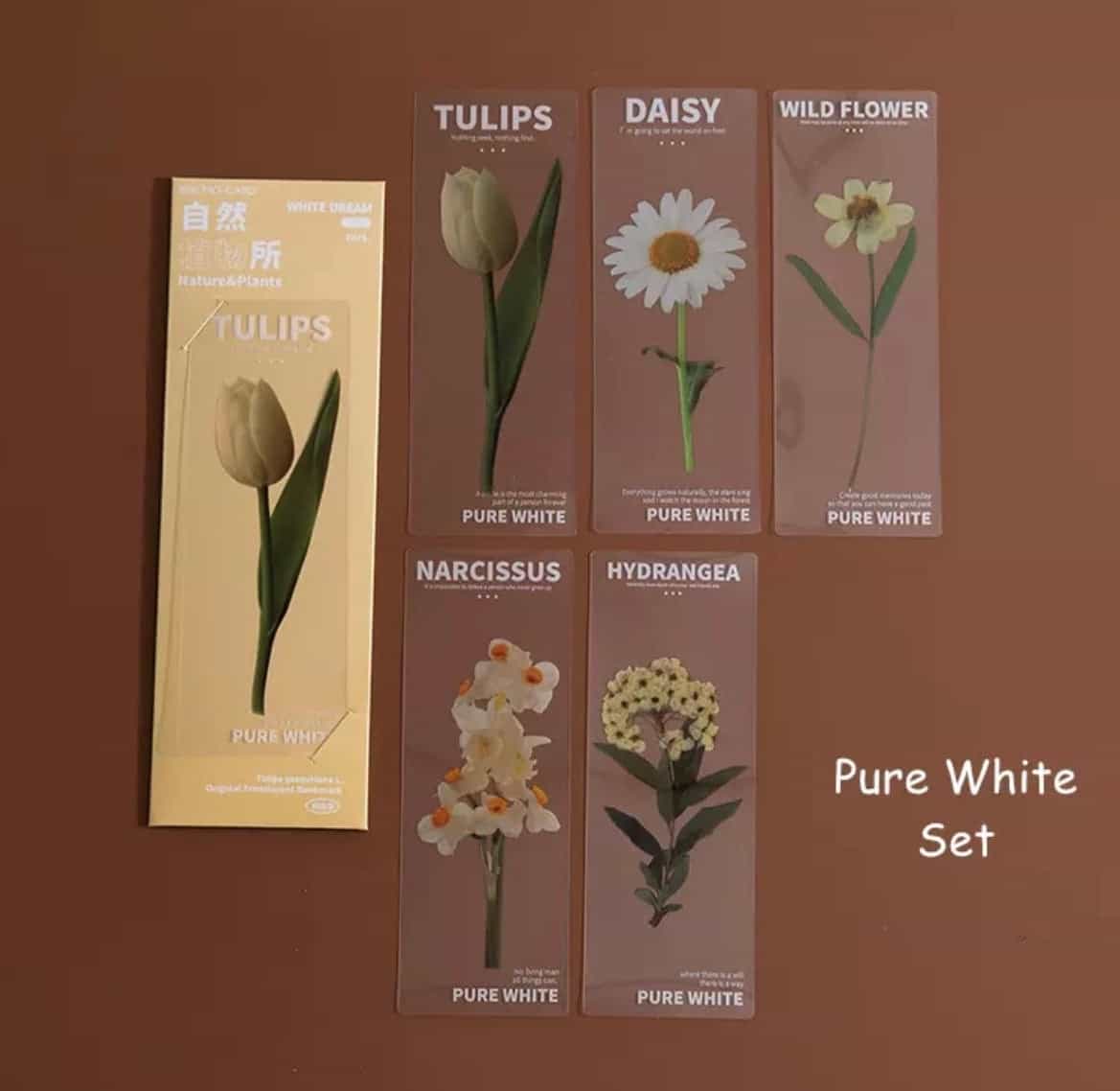 5pcs set Semi transparent bookmarks-All-Times-Gifts