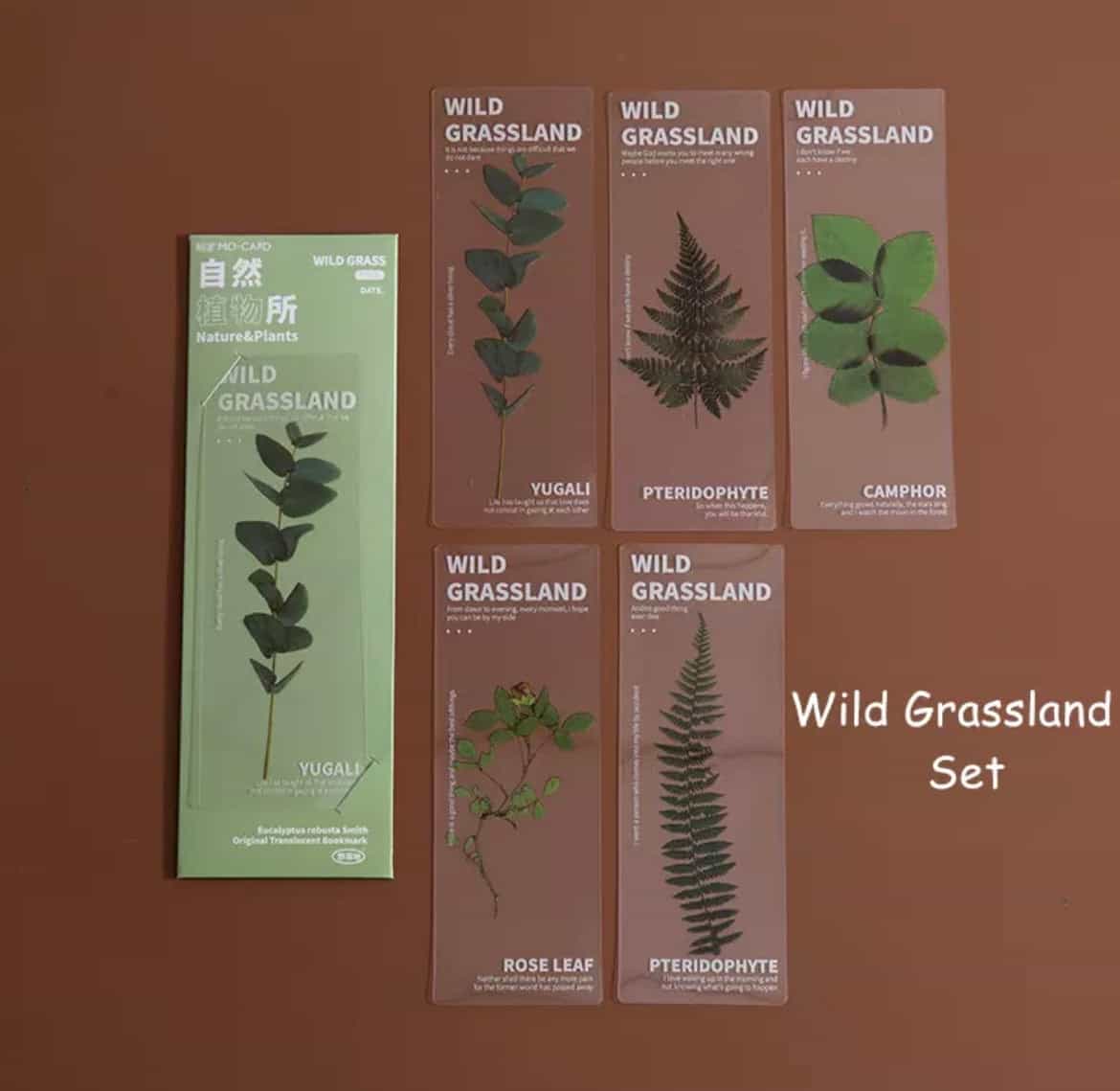 5pcs set Semi transparent bookmarks-All-Times-Gifts