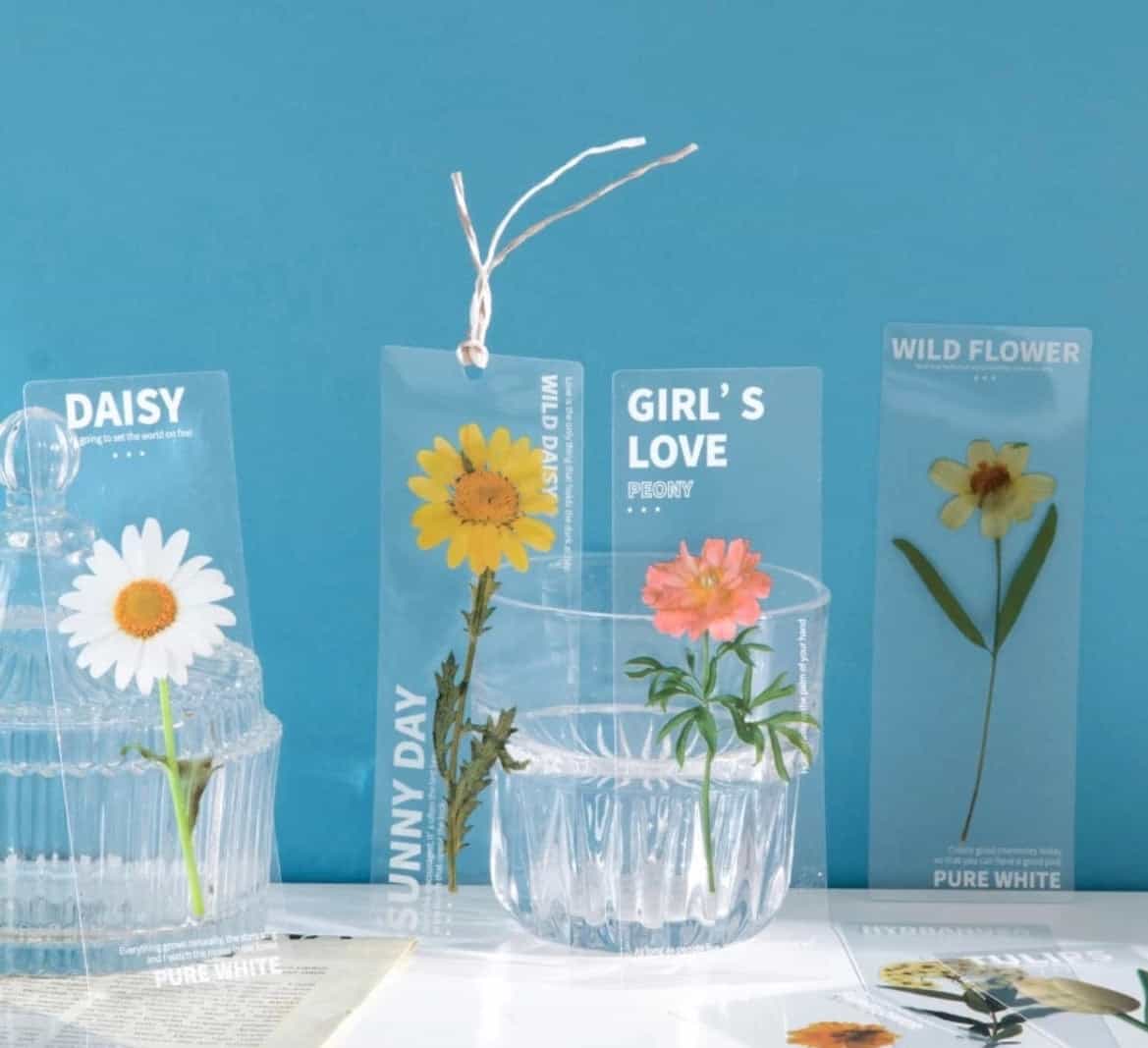 5pcs set Semi transparent bookmarks-All-Times-Gifts