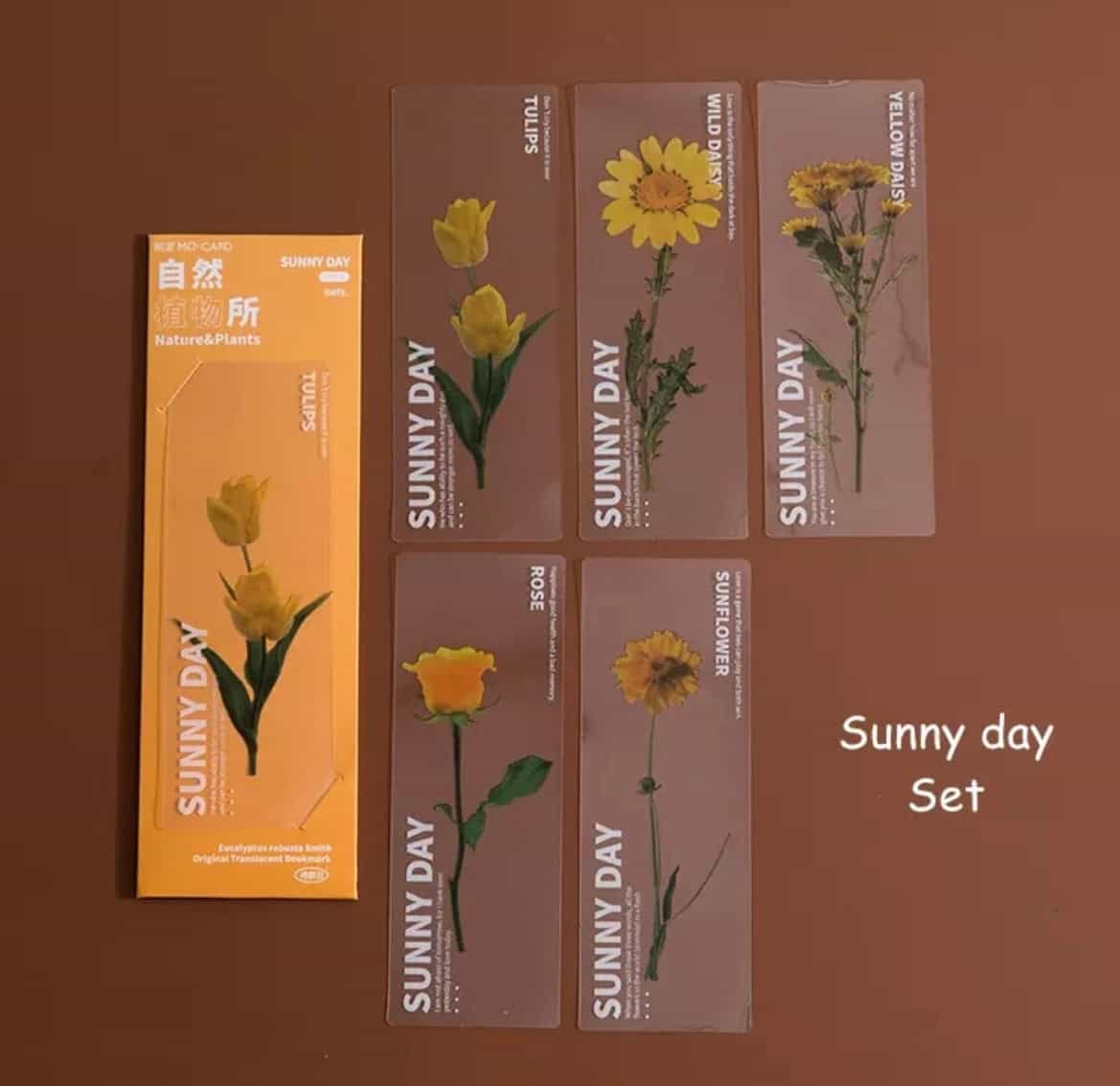 5pcs set Semi transparent bookmarks-All-Times-Gifts