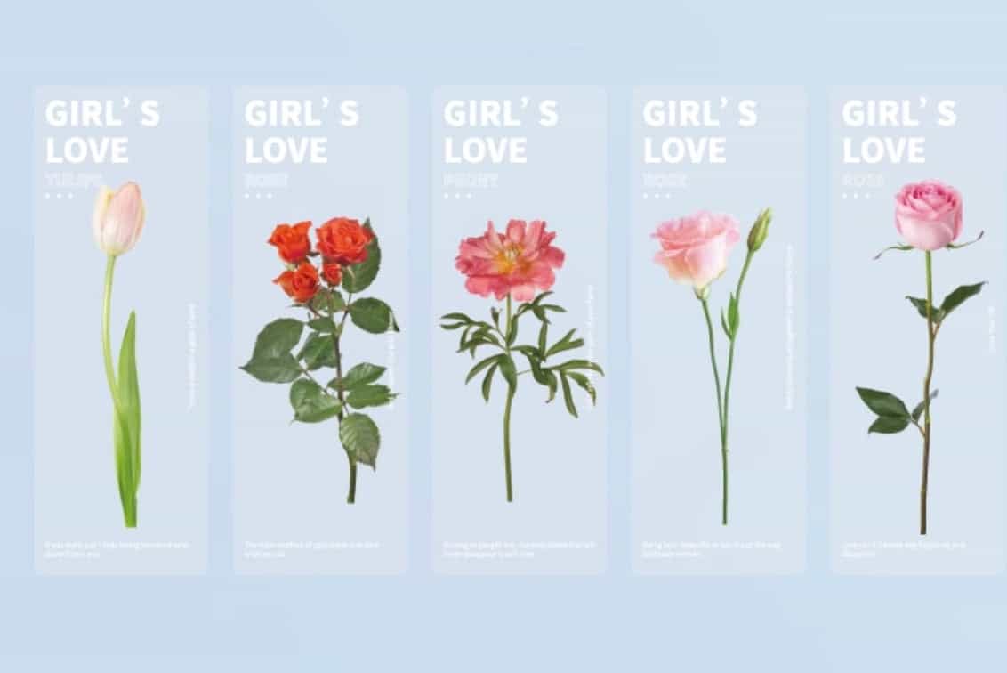 5pcs set Semi transparent bookmarks-All-Times-Gifts