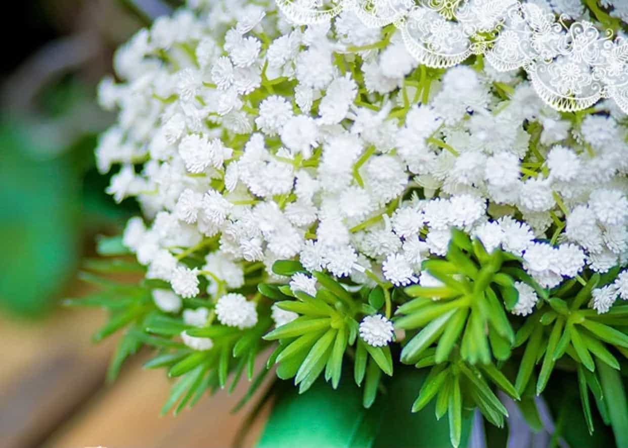 Bridal wedding baby’s breath bouquet-All-Times-Gifts