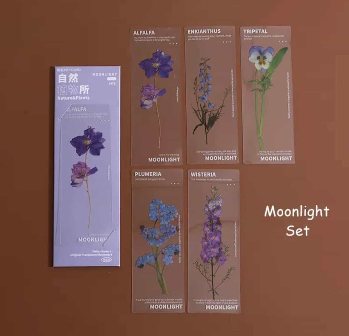 5pcs set Semi transparent bookmarks-All-Times-Gifts