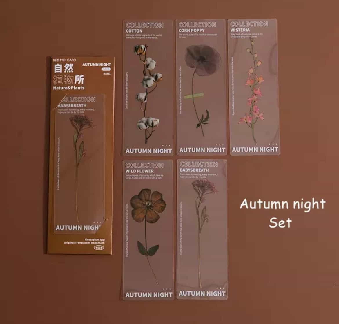 5pcs set Semi transparent bookmarks-All-Times-Gifts